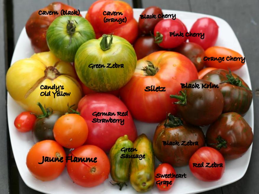 heirloom-tomatoes-from-market-with-names