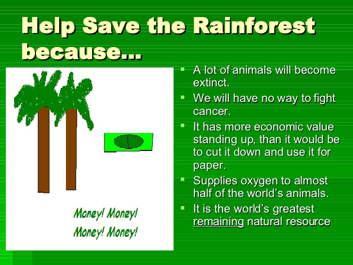 How to save. Save the Rainforests. Плакат на тему save the Rainforests. How to save Rainforests. How we can save the Forests.